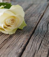 Maxann Crotts Harvey